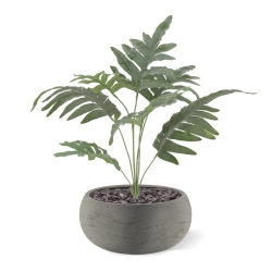 Felce Phlebodium Blu Artificiale 60cm