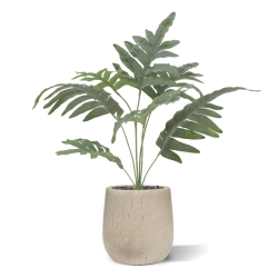 Felce Phlebodium Blu Artificiale 60cm