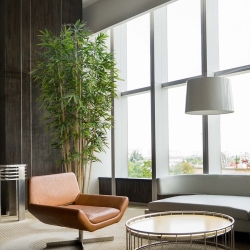 Albero artificiale di bambù Deluxe 400 cm su piastra