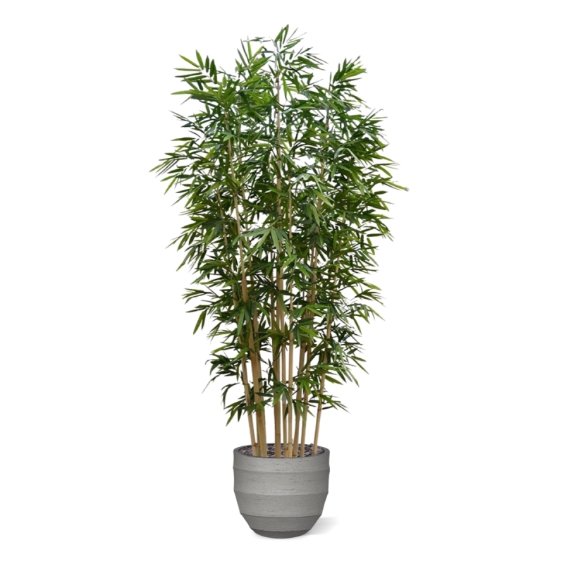Albero artificiale di bambù Deluxe 400 cm su piastra