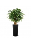 Buddha Bamboo deluxe pianta artificiale 125 cm