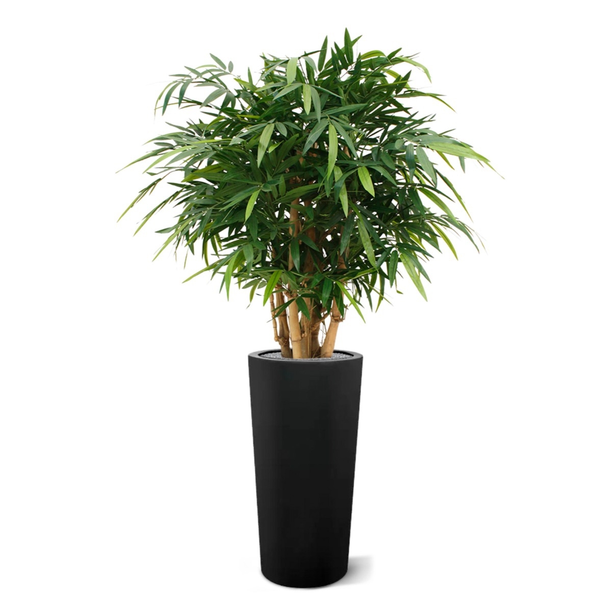 Buddha Bamboo deluxe pianta artificiale 125 cm