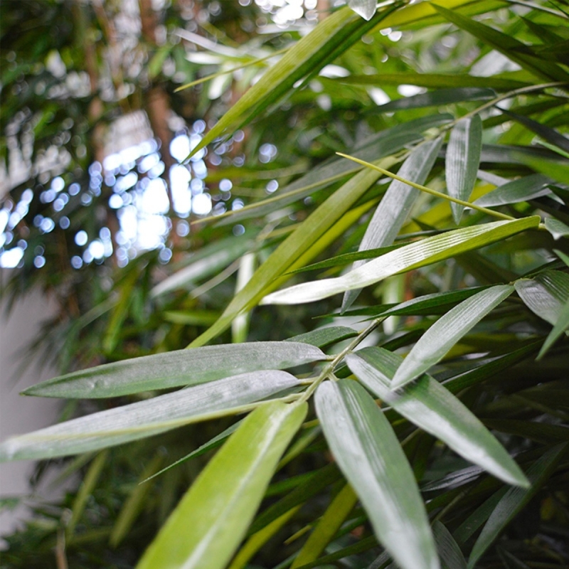 Buddha Bamboo deluxe pianta artificiale 125 cm