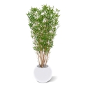 Albero artificiale di bambù orientale 160 cm
