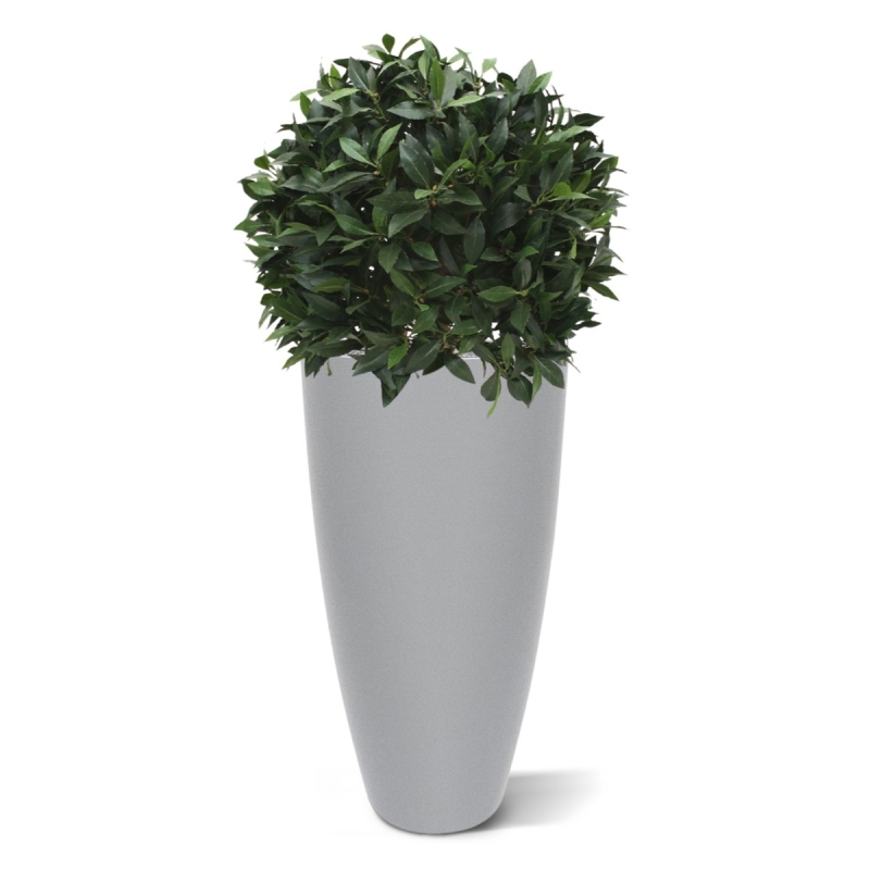 Alloro bulbo XL pianta artificiale 60 cm