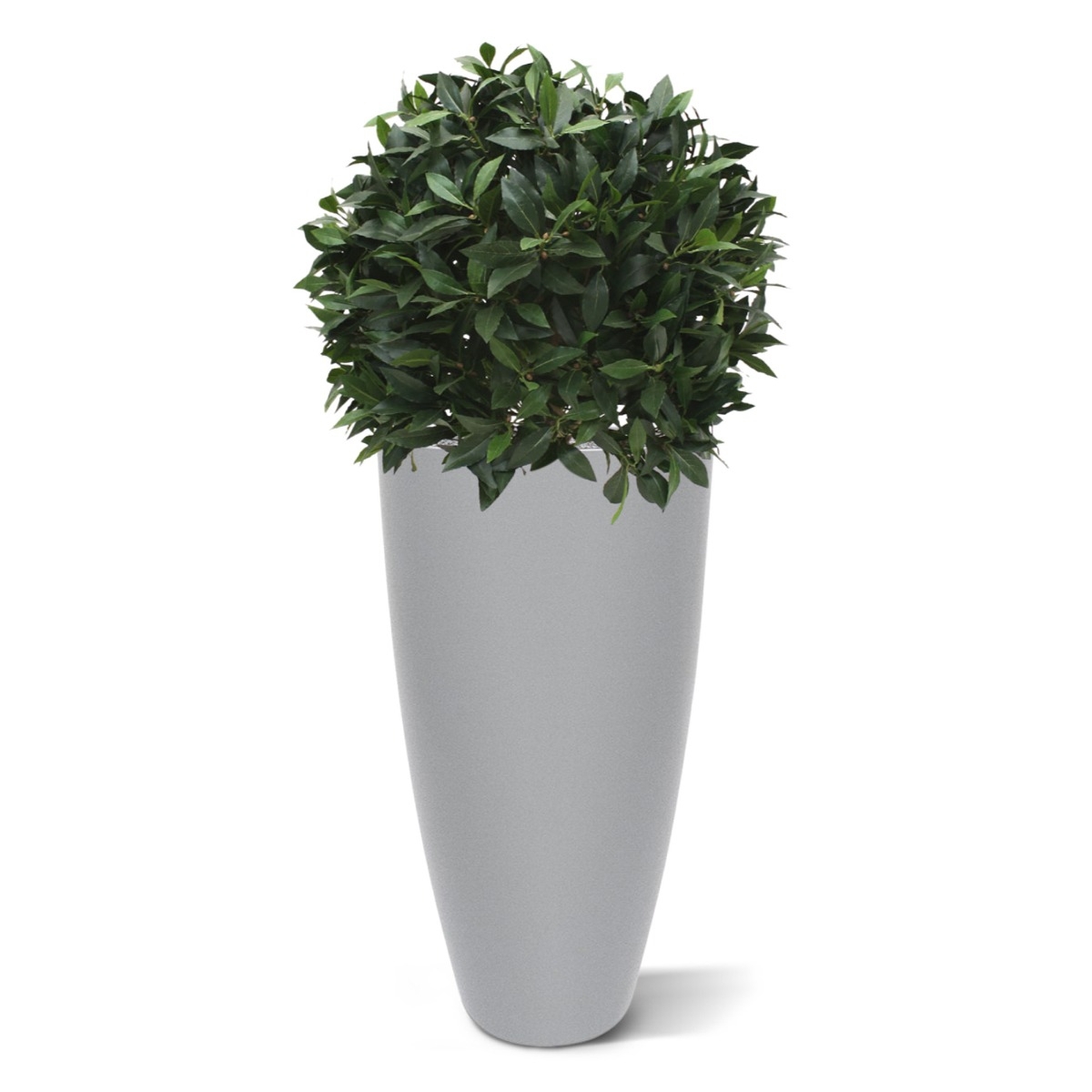 Alloro bulbo XL pianta artificiale 60 cm