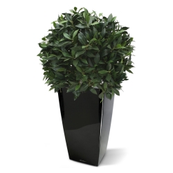 Alloro bulbo XL pianta artificiale 60 cm