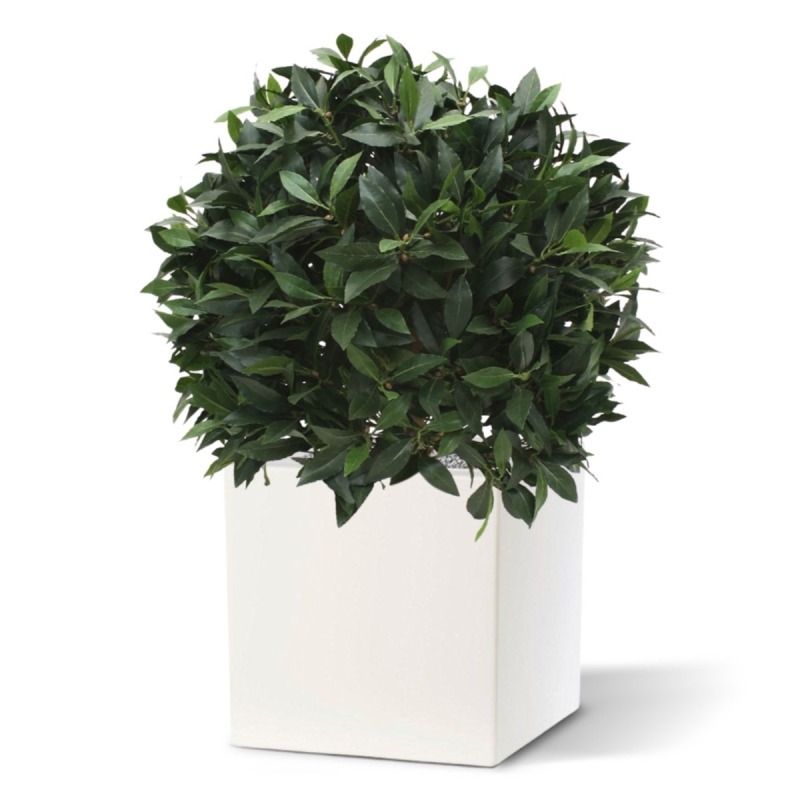 Alloro bulbo XL pianta artificiale 60 cm