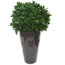 Alloro bulbo XL pianta artificiale 60 cm