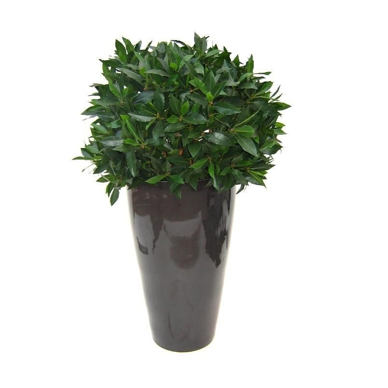 Alloro bulbo XL pianta artificiale 60 cm