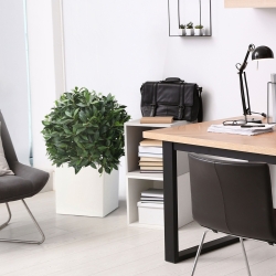 Alloro bulbo XL pianta artificiale 60 cm