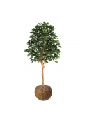 Albero artificiale di quercia Deluxe 250 cm