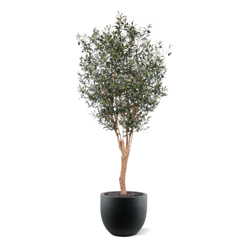 Ulivo artificiale Deluxe 250cm
