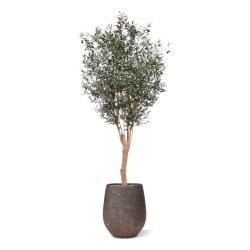 Ulivo artificiale Deluxe 250cm