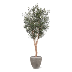 Ulivo artificiale Deluxe 250cm