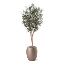 Ulivo artificiale Deluxe 250cm