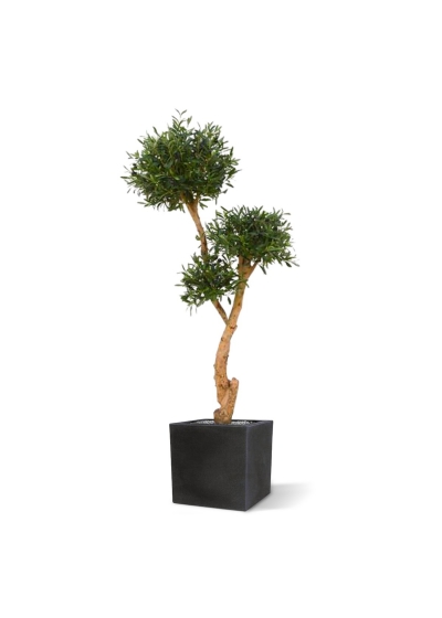 Olivo Bonsai deluxe x3 albero artificiale 160cm