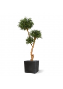 Olivo Bonsai deluxe x3 albero artificiale 160cm