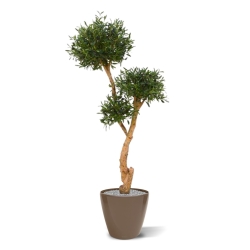 Olivo Bonsai deluxe x3 albero artificiale 160cm