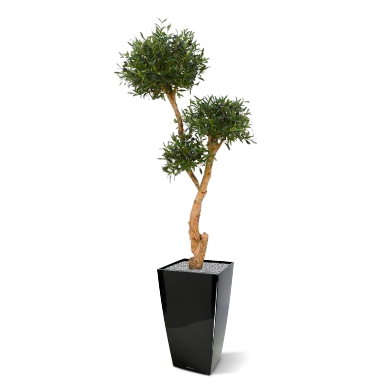 Olivo Bonsai deluxe x3 albero artificiale 160cm