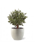 Sfera di Ulivo Artificiale D 50cm UV in vaso