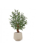 Olivo artificiale Bonsai pianta Deluxe 90cm UV