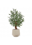 Olivo artificiale Bonsai pianta Deluxe 90cm UV