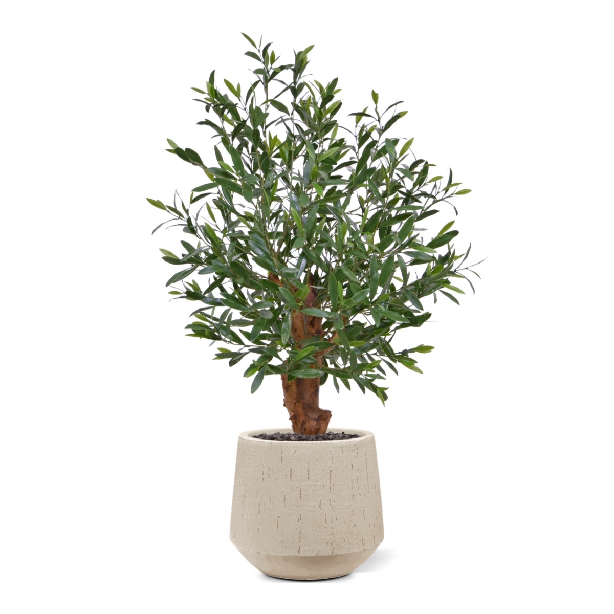 Olivo artificiale Bonsai pianta Deluxe 90cm UV