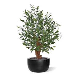 Olivo artificiale Bonsai pianta Deluxe 90cm UV