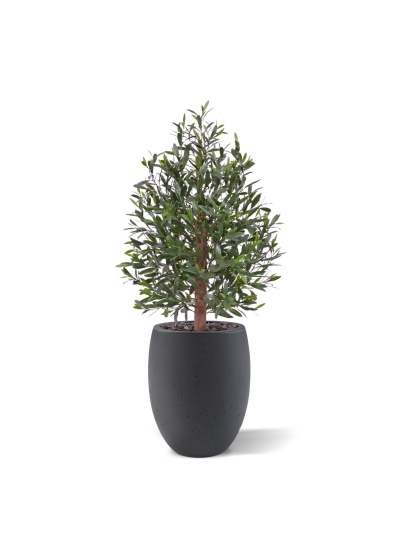 Olivo artificiale Bonsai artificiale Deluxe 100cm UV