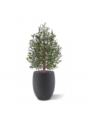 Olivo artificiale Bonsai artificiale Deluxe 100cm UV