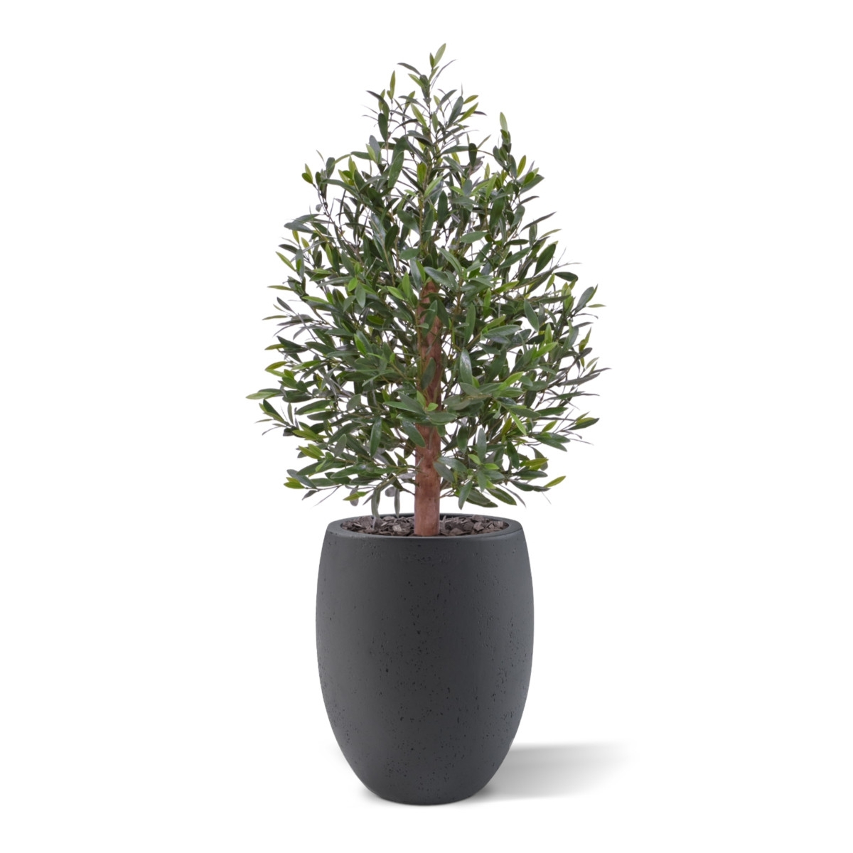 Olivo artificiale Bonsai artificiale Deluxe 100cm UV