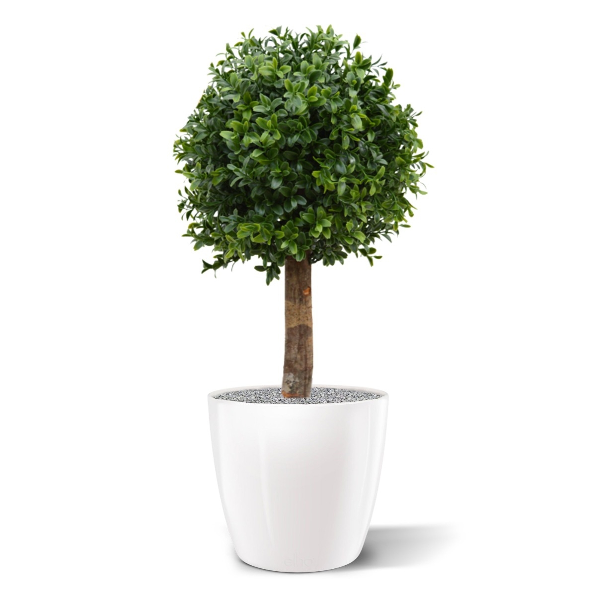 Palla di bosso artificiale Deluxe Nuova 25 cm UV