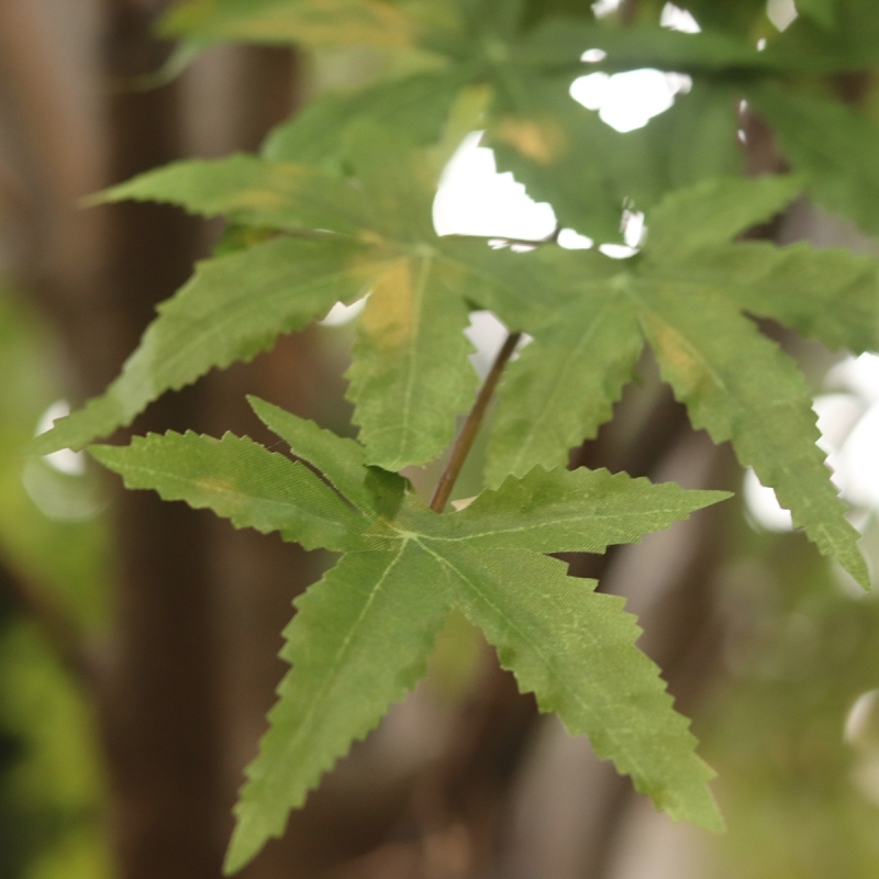 Albero artificiale di Acer 280 cm verde