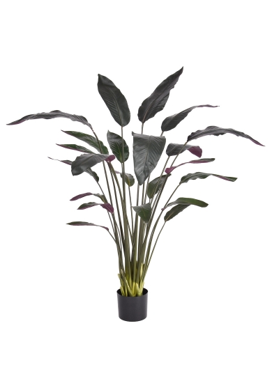 Pianta artificiale Calathea Luthea rossa 140 cm