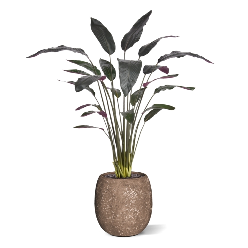 Pianta artificiale Calathea Luthea rossa 140 cm