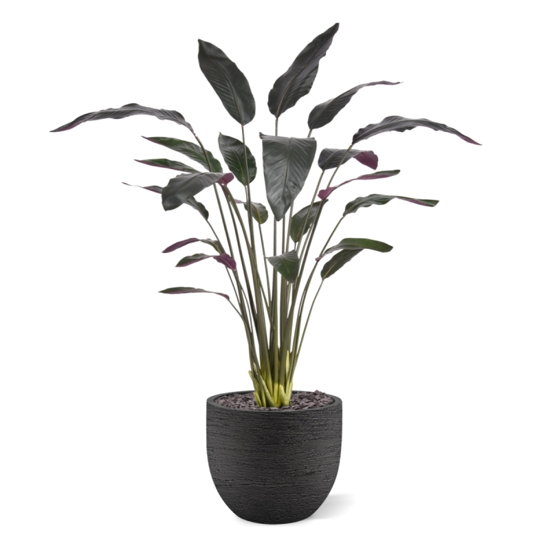 Pianta artificiale Calathea Luthea rossa 140 cm