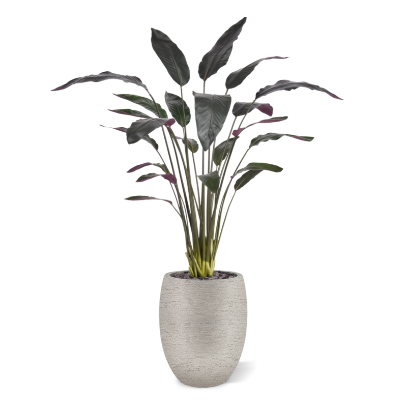 Pianta artificiale Calathea Luthea rossa 140 cm