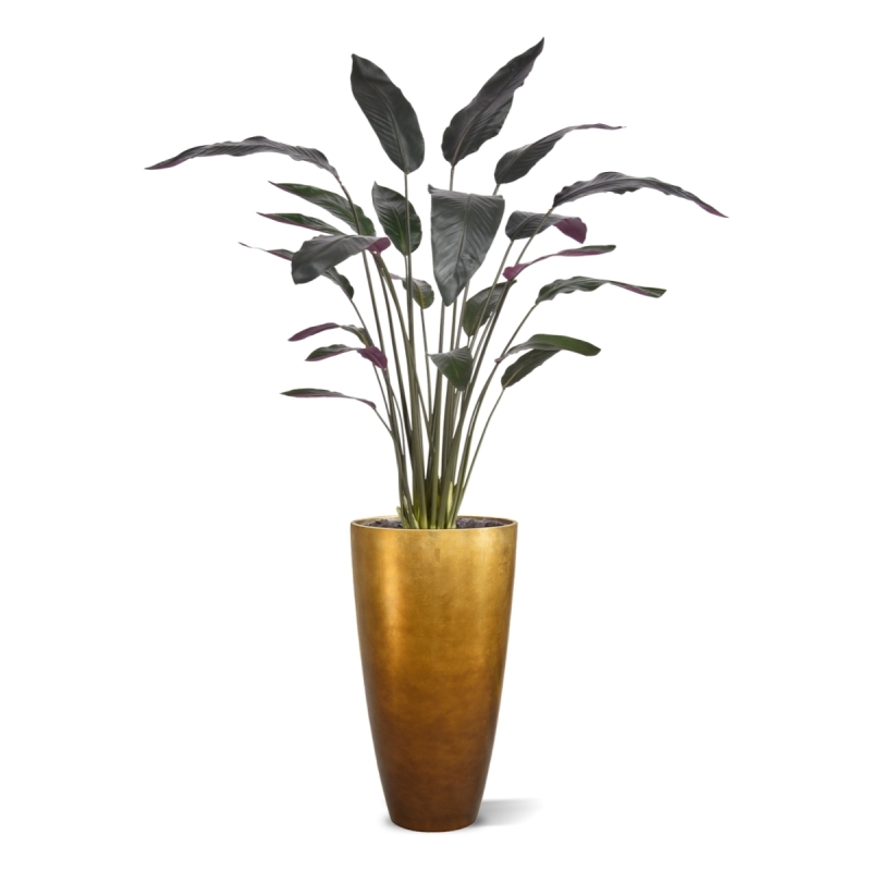 Pianta artificiale Calathea Luthea rossa 140 cm