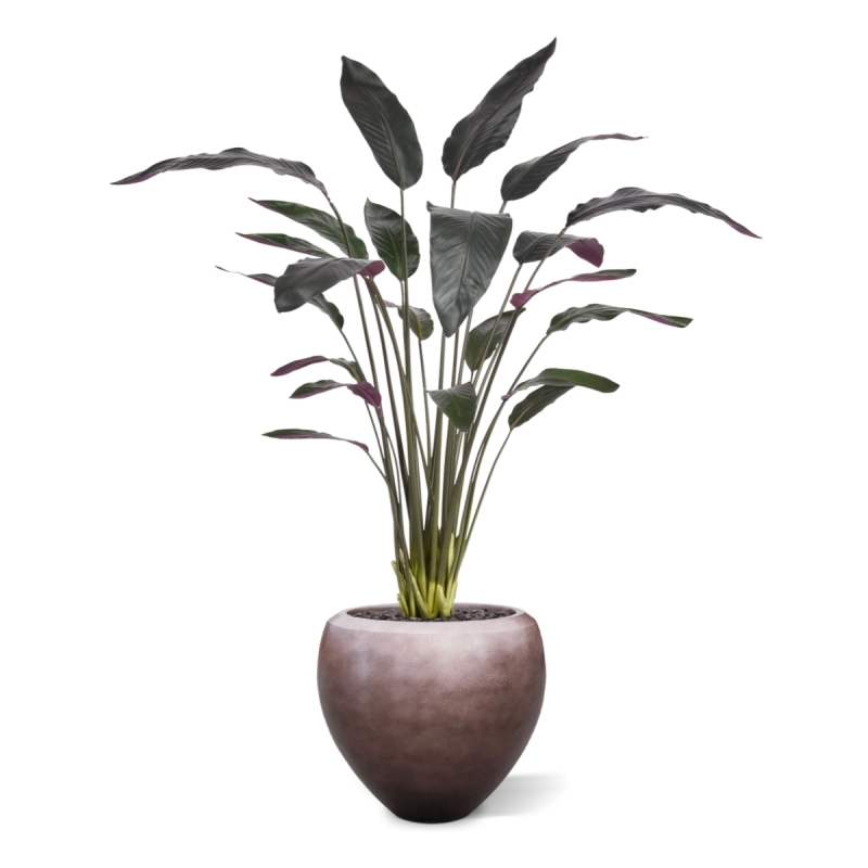Pianta artificiale Calathea Luthea rossa 140 cm