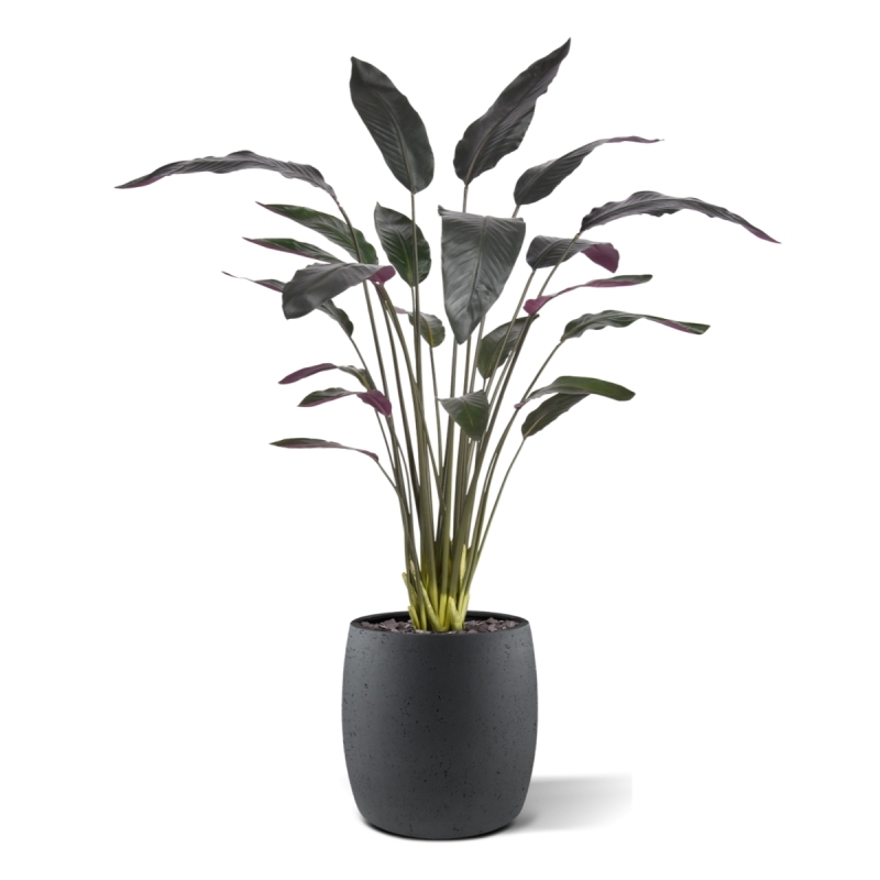 Pianta artificiale Calathea Luthea rossa 140 cm