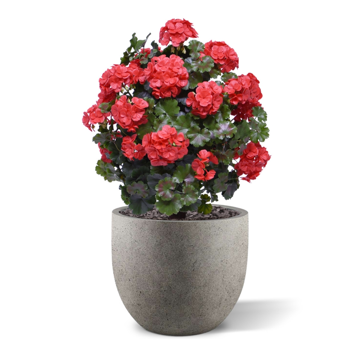 Geranio artificiale a sfera 50cm UV rosso