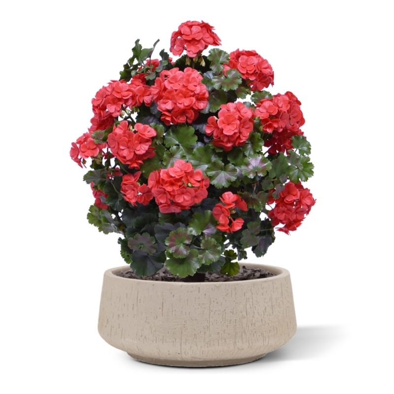 Geranio artificiale a sfera 50cm UV rosso