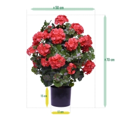 Geranio artificiale a sfera 50cm UV rosso