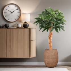 Pianta artificiale Pachira Deluxe 100 cm