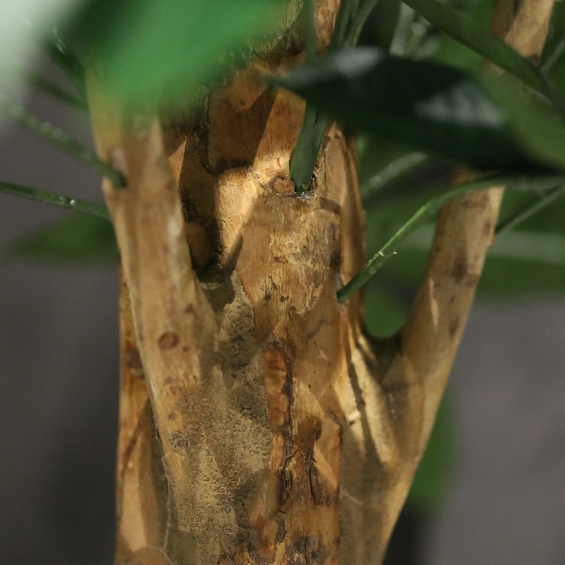 Pianta artificiale Pachira Deluxe 100 cm