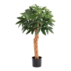 Pianta artificiale Pachira Deluxe 100 cm