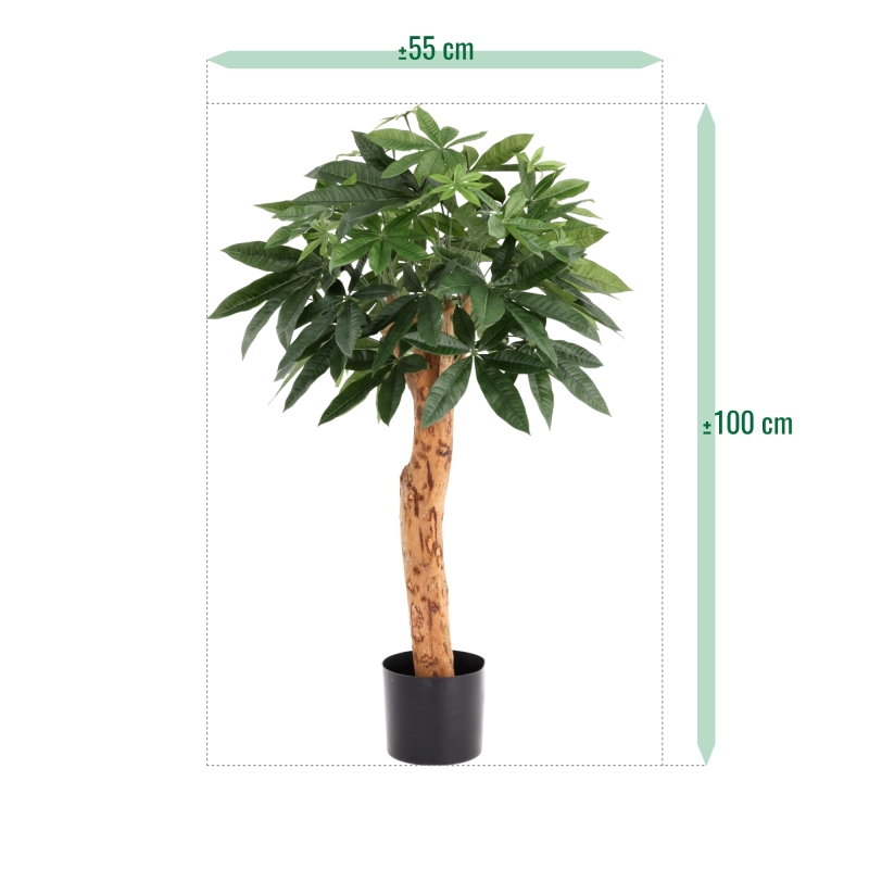 Pianta artificiale Pachira Deluxe 100 cm