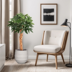 Pianta artificiale Pachira Deluxe 100 cm