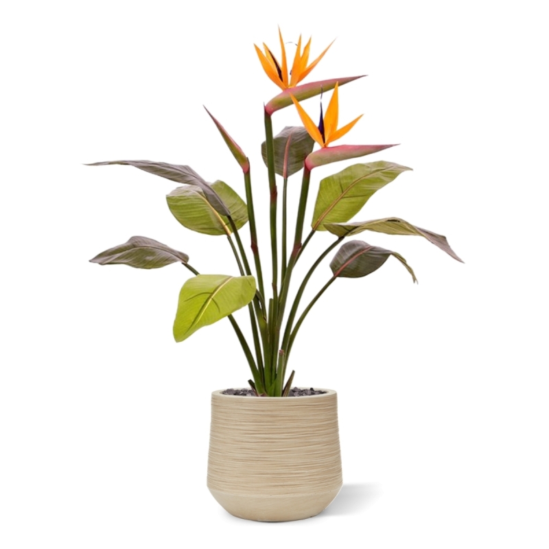 Bouquet artificiale di Strelitzia 75 cm